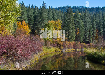 Colore di autunno, riflessioni, Leavenworth National Fish Hatchery, nello Stato di Washington, USA Foto Stock