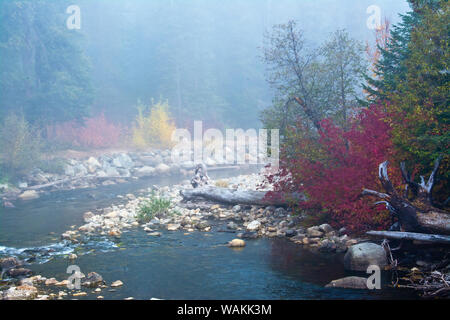 La nebbia autunnale, Nason Creek, Wenatchee National Forest, nello Stato di Washington, USA Foto Stock