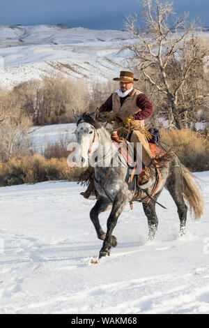 Cowboy a cavallo rigido sul nascondiglio Ranch, Shell, Wyoming. Cowboy in sella al suo cavallo. (MR) Foto Stock