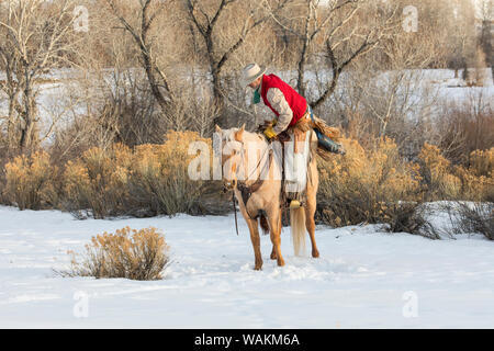 Cowboy a cavallo rigido sul nascondiglio Ranch, Shell, Wyoming. Cowboy sta in sella. (MR) Foto Stock