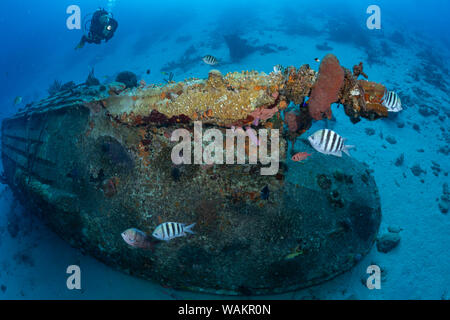 Diver esplora piccolo relitto sul portico anteriore sito di immersione, Bonaire, Antille olandesi Foto Stock