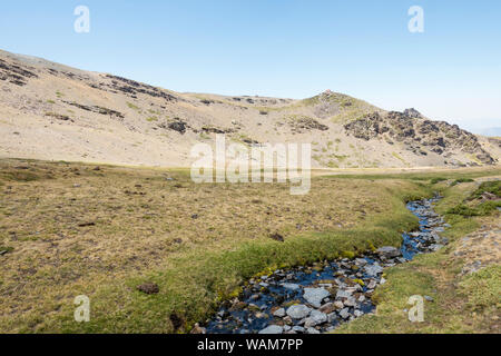 Praterie Alpine a Borreguiles de San Juan, Parco Nazionale Sierra Nevada a 2500m altitud. Granada/ Andalusia, Spagna. Foto Stock