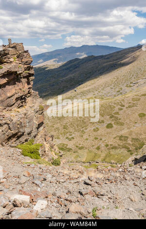 Praterie Alpine a Borreguiles de San Juan, Parco Nazionale Sierra Nevada a 2500m altitud. Granada/ Andalusia, Spagna. Foto Stock