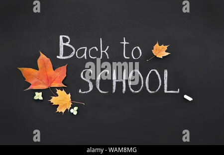 Si torna a scuola, template, scritta a mano in gesso, testo sulla lavagna nera, collage di caduto foglie di acero, rovere, asciugare i fiori delle ortensie, sito web coperchio, b Foto Stock
