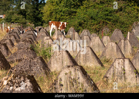 Le trappole del serbatoio della linea Siegfried Schmithof vicino a sud di Aquisgrana, Renania settentrionale-Vestfalia (Germania). Panzersperren des Westwall bei Schmithof im Foto Stock