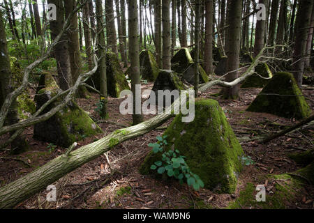 Le trappole del serbatoio della linea Siegfried a sud di Aquisgrana, Renania settentrionale-Vestfalia (Germania). Panzersperren des Westwall suedlich von Aachen, Nordrhein-Westfale Foto Stock