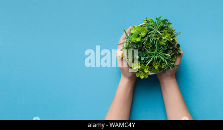 Donna che mantiene impianti misti di round pot su sfondo blu Foto Stock