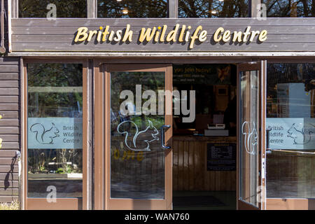 La parte esterna del British Centro faunistico a Lingfield, Surrey, Regno Unito Foto Stock