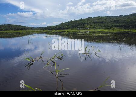 KAW MARSH, MARAIS DE KAW, Francia - Lug 24, 2019: una casa entro Kaw Marsh, Marais de Kaw, sotto un cielo nuvoloso. Guiana francese, Sud America, Francia Foto Stock