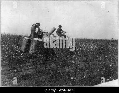 Cotone macchina di prelievo in Texas Foto Stock