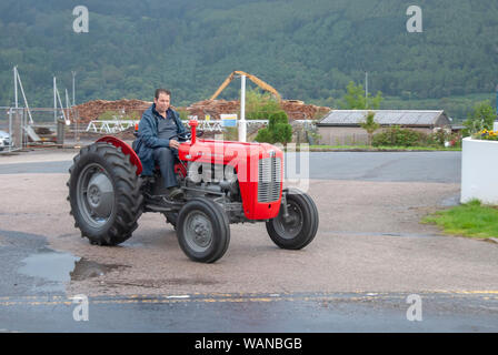 Uomo alla guida di 1962 Vintage grigio rosso Massey Ferguson trattore 35 maschio fuorigioco anteriore lato guida vista Loch Santa Marina 1 pers Foto Stock