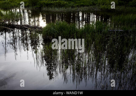 Riflessioni in una palude vicino a Stanley il lago e le montagne a dente di sega Foto Stock