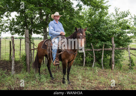 Cowhand Craig Bauer, in cima al suo cavallo, Spaghetti al 1.800 acri Lonesome Ranch di pino, un gruppo di lavoro di ranch di bestiame che è parte del Texas ranch vita ranch resort vicino Chappell Hill nella contea di Austin, Texas Foto Stock