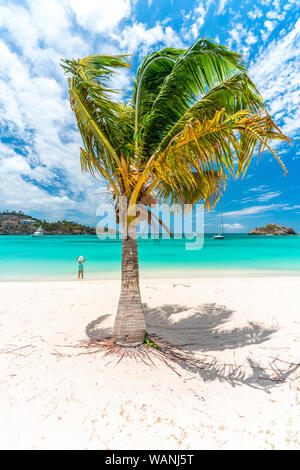 Donna in piedi nel cristallo mare dei Caraibi lungo una spiaggia orlata di palme, Antille, America Centrale Foto Stock