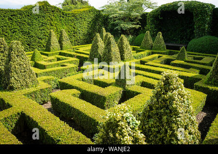 Formal box garden maze at Bourton House in the Cotswolds giving a restful evergreen calmness to this English garden UK Foto Stock