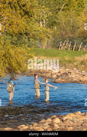 Tre donne la pesca lungo la grande Thompson River in Estes Park, COLORADO Foto Stock