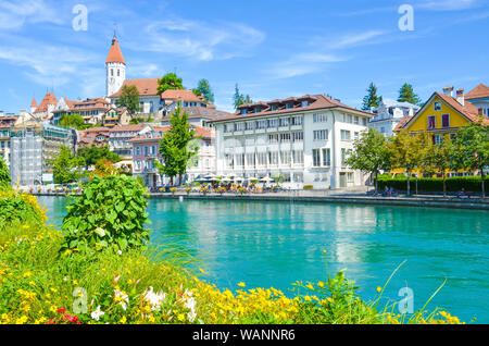 Letto di fiori dal fiume Aare in Svizzera. Il centro storico della città svizzera di Thun in background, in parte sfocata. La dominante della città è un famoso castello. Bella città svizzere. Foto Stock