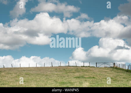 Verde prato campo, con Gate, recinto & Blue Sky/Nuvola Bianca Foto Stock