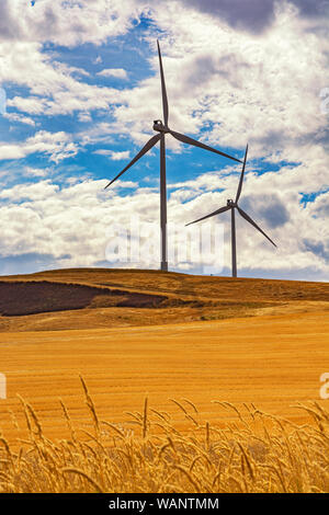 Washington, Regione Palouse, turbine eoliche, campo di grano caduta stagione dopo il raccolto Foto Stock