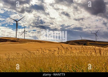 Washington, Regione Palouse, turbine eoliche, campo di grano caduta stagione dopo il raccolto Foto Stock