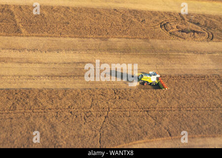 Veduta aerea sul campo di grano con trincia combinato Foto Stock