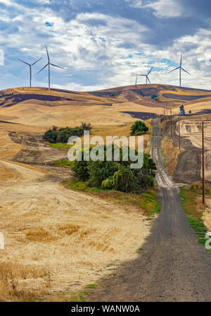 Washington, Regione Palouse, turbine eoliche, campo di grano caduta stagione dopo il raccolto, rurale strada sterrata Foto Stock