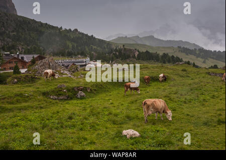 Il Passo Sella (Sellajoch/Passo di Sella) al maltempo. Situato in Alto Adige, Italia Foto Stock