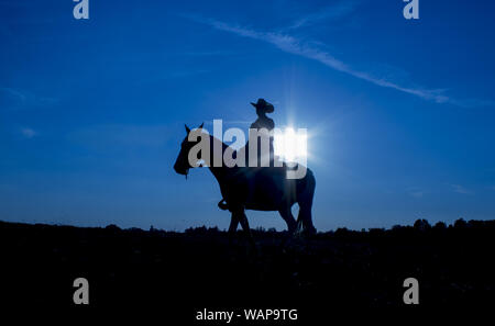 Silhouette cowgirl equitazione sulla piana aperta in western al tramonto in blu Foto Stock