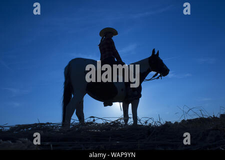 Silhouette cowgirl equitazione sulla piana aperta in western al tramonto in blu Foto Stock