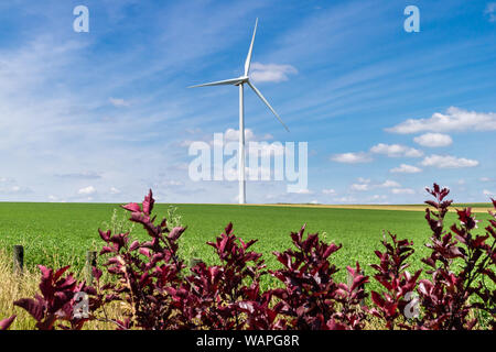 Le turbine eoliche su un verde campo di grano a produrre energia elettrica da fonti di energia rinnovabili Foto Stock