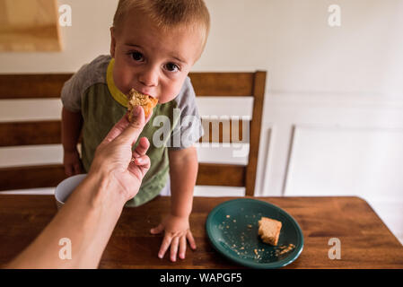 Il Toddler guardando la telecamera tenendo morso da un sandwich essendo alimentato a lui Foto Stock