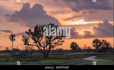 Flamingo Visitor Center, Everglades National Park, Florida, Stati Uniti d'America - 14 Luglio 2018: un bel tramonto colorato in Everglades National Park Foto Stock