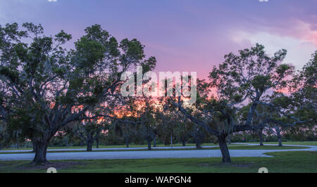 Flamingo Visitor Center, Everglades National Park, Florida, Stati Uniti d'America - 14 Luglio 2018: il tramonto in Everglades National Park in Florida con sagome di tre Foto Stock