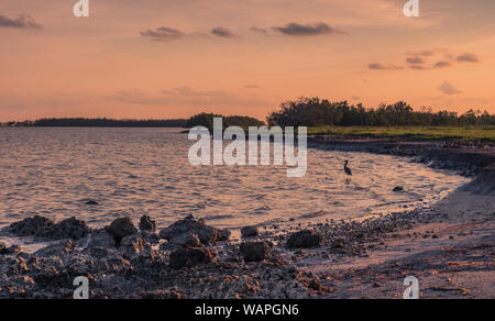 Flamingo Visitor Center, Everglades National Park, Florida, Stati Uniti d'America - 14 Luglio 2018: un bel tramonto colorato in Everglades National Park Foto Stock