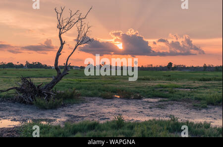 Flamingo Visitor Center, Everglades National Park, Florida, Stati Uniti d'America - 14 Luglio 2018: il tramonto in Everglades National Park in Florida con sagome di tre Foto Stock