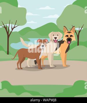 Gruppo di cani animali domestici nel campo Caratteri Illustrazione Vettoriale