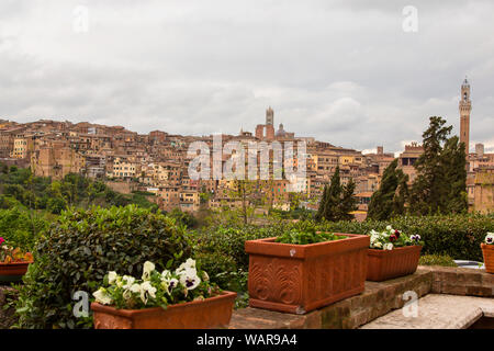 Vista panoramica di Siena. Case e tetti, chiesa e cipressi in piena vista. Regione Toscana dell'Italia. Piante in vaso in primo piano Foto Stock