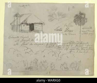 Disegno, San Jose de Lapas Chiesa, Carapata e studi botanici, probabilmente la Colombia, 1853 Foto Stock