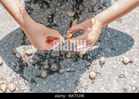 Macro di primo piano delle mani del bambino palms picking tenendo molti piccolo giardino foresta giallo listati di lumache di molluschi. Estate bambini attività di intrattenimento. Foto Stock