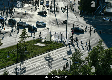 Berlino, Germania. 19 Ago, 2019. Pedoni attraversare l'incrocio di Alexanderstraße e Karl-Liebknecht-Straße su Alexanderplatz nel pomeriggio quando il sole tramonta. La segnaletica stradale orizzontale di aiuto con orientamento. Credito: Jens Kalaene/dpa-Zentralbild/ZB/dpa/Alamy Live News Foto Stock