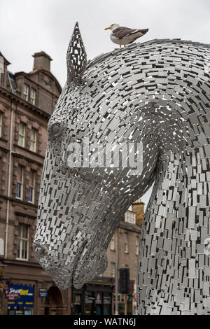 Edimburgo, Scozia -9Agosto 2015: la statua Kelpies nelle strade di Edimburgo. Queste pubblicità sono la versione gigante che si trova al di fuori della citta'. Foto Stock