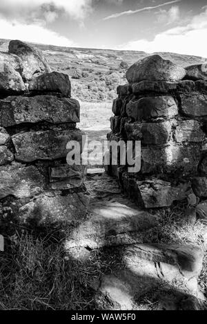 Porte in legno e montanti dello Yorkshire Dales Foto Stock