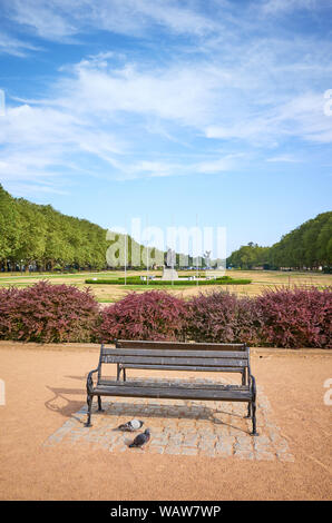 Un banco vuoto in Jasne Blonia park di Szczecin, Polonia. Foto Stock