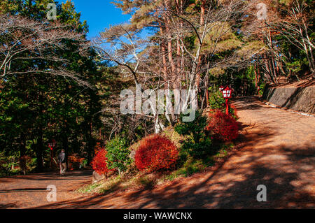 30 NOV 2018 Fujiyoshida, Giappone - Turistico sul sentiero a piedi con red santuario scintoista Giapponese di stile lampada tra verde e cespugli di autunno a Pagoda Chureito Foto Stock