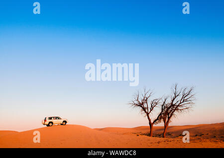 Safari nel Deserto in Al Wathba, Abu Dhabi. Foto Stock