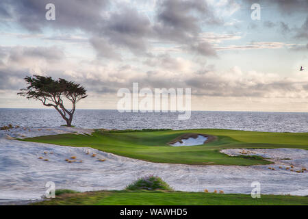 Campo da golf sul famoso 17 miglia di auto nei pressi di Pebble Beach in California. Foto Stock