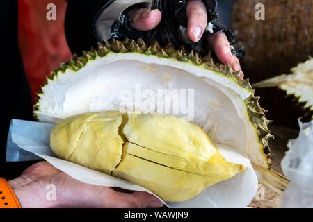 Il taglio di Thai durian fresco e pronto da mangiare. Foto Stock