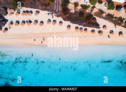 Vista aerea di ombrelli, alberi sulla sabbiosa spiaggia al tramonto Foto Stock