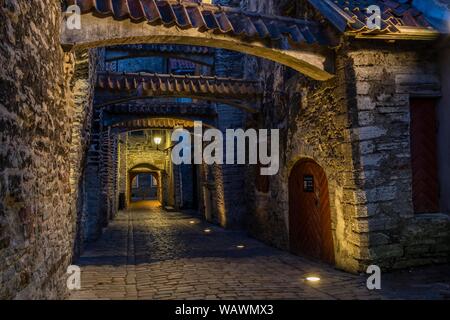Passaggio di Santa Caterina di notte, Vanalinn, Tallinn, Estonia Foto Stock