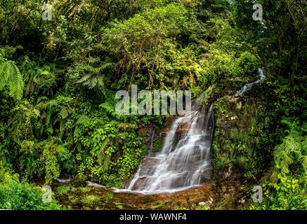 Una piccola cascata, il flusso nella foresta pluviale di Ranomafana, a sud-est del Madagascar, Madagascar Foto Stock